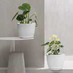 UOUZ 12/10/9 Large Plant Pots, Plastic Planters with Drainage Holes and Saucers for Indoor Outdoor Plants Flowers, White
