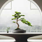 3ft（36in） Artificial Bonsai Tree Juniper Faux Plants Indoor Big Fake Plants Decor with Ceramic Pots for Home Table Office Desk Shelf Bedroom Living Room Decorations (Green)