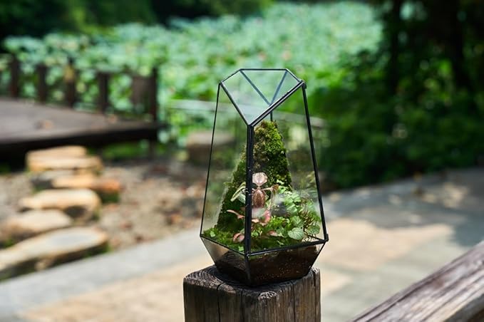 FISCRAT Tabletop Glass Terrarium -5"x5"x10.8" Black Metal Frame Indoor Plant Display Container with Openable Door, Low--Maintenance Succulent Ecosystem, Space Saving Art Decor (Plants Not Included)