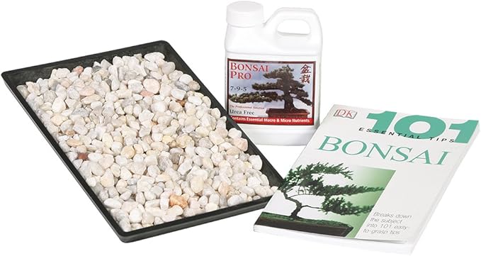 Brussel's Bonsai Starter Success Kit with 11" Humidity Tray & Deco Rocks