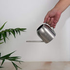 Fasmov Stainless Steel Watering Can, Small Modern Style Watering Pot, 15oz/450ml Watering Can with Long Spout to Prevent Spillage, Perfect Plant Watering Can for Outdoor and Indoor Plants (Silver)