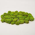 Preserved Pole Moss Pillow Bun Cushion Natural Green Decorative Real Natural Green DIY Kit Gardenning Art Wall Decor Florist Decor Easter Table Decor Wedding(1.5 sq.ft, Green-E)