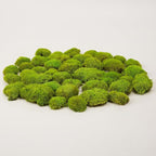 Preserved Pole Moss Pillow Bun Cushion Natural Green Decorative Real Natural Green DIY Kit Gardenning Art Wall Decor Florist Decor Easter Table Decor Wedding(1.5 sq.ft, Green-E)