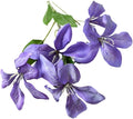 Flame Orchid Artificial Bouquet,Living Room Decorative Flowers,Suitable for Home Party Decorations，Flame Orchid Decorations(Purple)