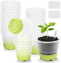 Sckee Clear Nursery Pots for Plants, 30 Packs Plastic Seed Starting Pots with Drainage Holes Plant Nursery Pots Silicone Base (Light Green, 4 inch)