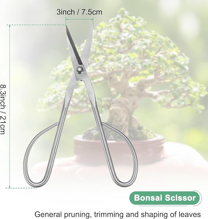 M METERXITY Bonsai Tool - 8.3 Inch Stainless Steel Bonsai Scissor, Bonsai Tree Plants Modeling Tools, Applying to Grow Room/Trimming Plants/Pruning Shears (210mm, Silver)