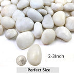 YISZM 40lbs White River Rocks for Landscaping, 2-3 Inch Natural Pebbles for Indoor Plants, High Polished Decorative Stones Garden Outdoor and Indoor DIY Vase Filler Fish Tank Aquariums
