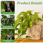 6Pcs Heart Plant Trellis for Climbing Plants, Acrylic Houseplant Trellis for Monstera Pothos Plants, Plant Support for Potted Plants Accessory Vine Ivy Hoya Flowers Indoor Outdoor