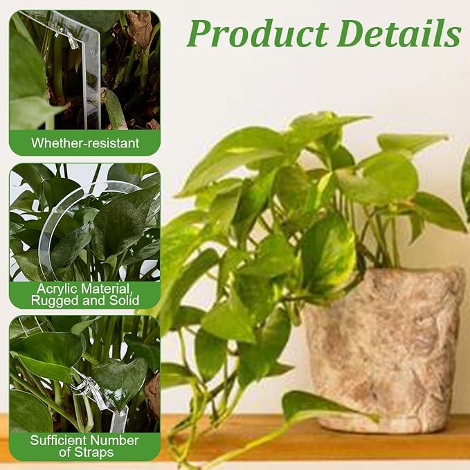 6Pcs Heart Plant Trellis for Climbing Plants, Acrylic Houseplant Trellis for Monstera Pothos Plants, Plant Support for Potted Plants Accessory Vine Ivy Hoya Flowers Indoor Outdoor