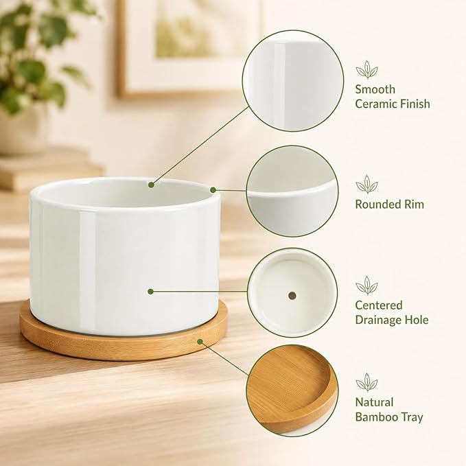 ZOUTOG Ceramic Succulent Pots 8 Pack,3.6 Inch Plant Pots,Succulent Planters with Drainage Hole & Bamboo Tray for Indoor Plants,White Small Flower Planters for Home,Office,Desk