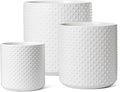 LE TAUCI Ceramic Pots for Plants, 10/8/6 Inch Indoor Planters with Draiange Hole, Silicone Plug & Mesh Pad, Modern Rasied-Dots Pots for Home Office, Set of 3, Satin, White