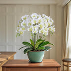 Htmeing 38 Inch Artificial Phalaenopsis Flowers Branches Real Touch (Not Silk) Orchids Flowers for Home Office Wedding Decoration,Pack of 2 (Green White)