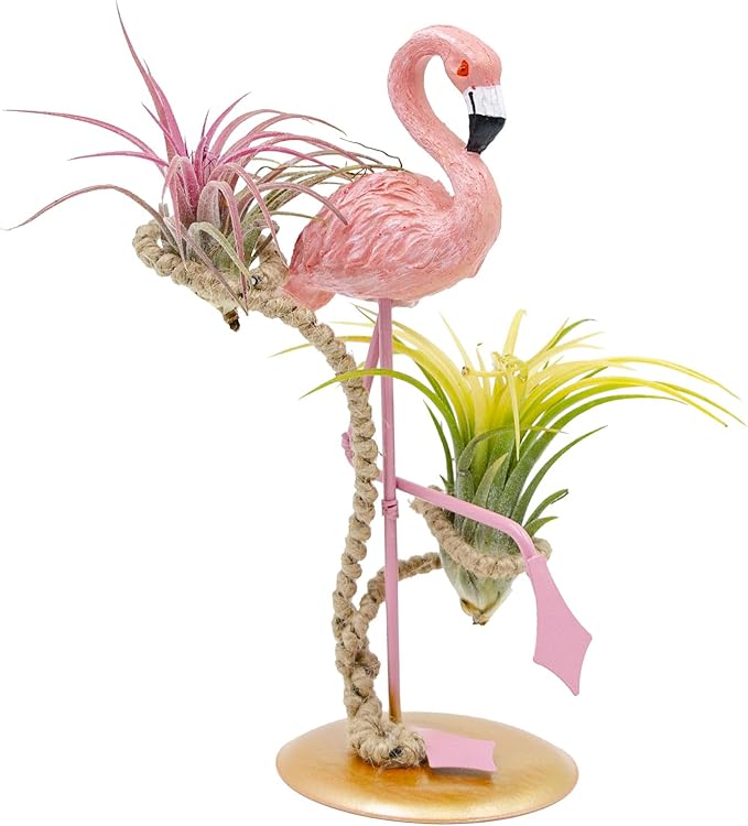 Air Plant Holders, Unique Air Plant Holders with Charming Decor, Home Decor for Living Room, Bedroom, Office, Table, Bookshelf, Gift, Office Decoration Supplies
