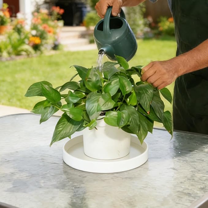 Plant Saucer 6 inch Drip Tray for Ceramic Plastic Pots, 4 Pack Plant Saucers for Indoors, Plastic Planter Flower Pot Saucers for Potted Plants, Planter Water Trays for pots Base, Creamy White