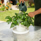 2 Pack 10 inch Plant Saucer Drip Tray, Heavy Sturdy Plastic Planter Flower Pot Drainage Tray Plate Saucers for Indoor Outdoor Garden, Plant Water Drip Trays for pots Base (10", Creamy White)