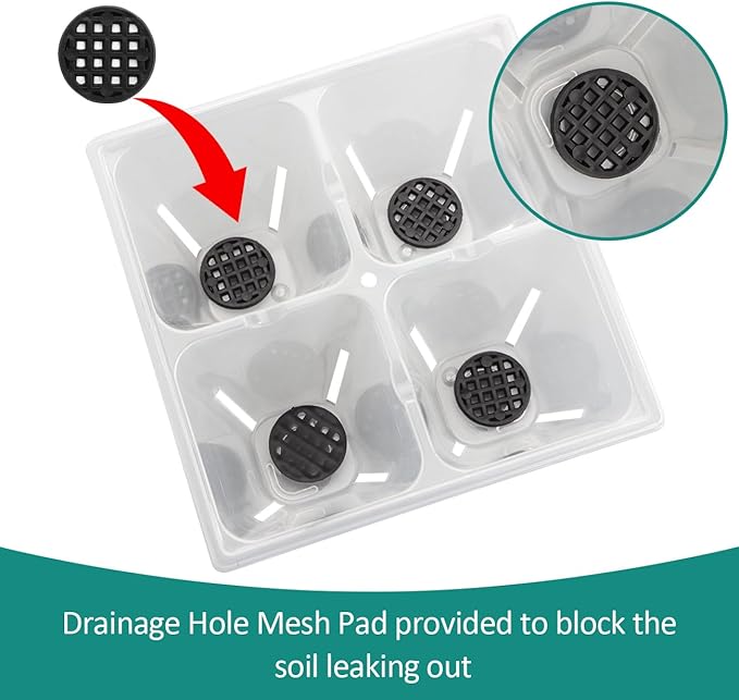 RooTrimmer 80 Pack Reusable 4-Cell Clear Seed Starter Trays - Extra Large Drainage Holes, Easy Transplant, Clear Transparent Tray for Root Observation, Seed Starting, Fits Standard 1020 Flats