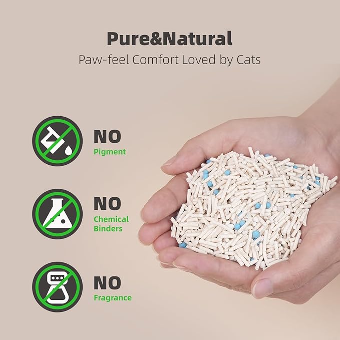 Zutto Nyan 4 in 1 Cassava Cat Litter - Advanced Fast Clumping, Flushable, Low Tracking, 99% Dust Free. Natural Plant Based,Pet Friendly, Great for All Cats, Sensitive Paws, Kittens(5.3 lbs x2 Bag)