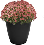 The HC Companies Eclipse Round Planter with Saucer - Outdoor & Indoor Plant Pot with Drainage Holes - Lightweight, UV-Resistant Plastic Pots for Plants, Flowers & Herbs (10" Black, Pack of 1)
