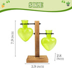 XXXFLOWER Plant Terrarium Propagation Station, Gifts for Mom Daughter Wife Plant Lover, Hydroponic Planter Bulb for Home Office Garden Decoration - 2 Green Love Bulb Vase with Wooden Stand