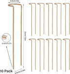 12-Inch Monstera Support - 10 Pack Medium Plant Support for Indoor and Outdoor Plants, Durable Stem Holder Trellis for Monstera and Spring Plant Stakes, Ideal for Home, Balcony, and Terrace