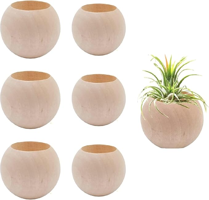 6 pcs 2 Sizes Wood Air Plant Holder Rustic Air Plant Pots Decorative Air Plants Display Containers Table Centerpiece for Home Office Tabletop
