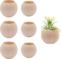 6 pcs 2 Sizes Wood Air Plant Holder Rustic Air Plant Pots Decorative Air Plants Display Containers Table Centerpiece for Home Office Tabletop