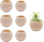 6 pcs 2 Sizes Wood Air Plant Holder Rustic Air Plant Pots Decorative Air Plants Display Containers Table Centerpiece for Home Office Tabletop