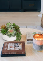 DILATATA Artificial Succulent Plants in Pot 5.5 Inch Fake Succulents Arrangement Potted Plant in White Ceramic Planter Bowl for Home Office Desk Shelf Living Room Bedroom Bathroom Decor
