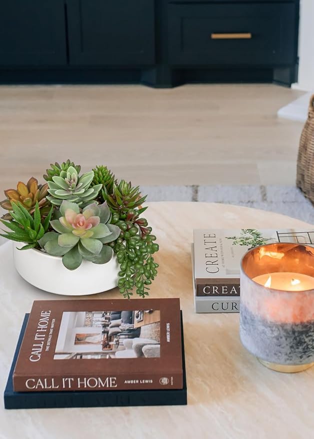 DILATATA Artificial Succulent Plants in Pot 5.5 Inch Fake Succulents Arrangement Potted Plant in White Ceramic Planter Bowl for Home Office Desk Shelf Living Room Bedroom Bathroom Decor