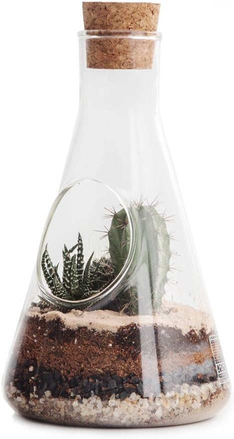 Suck UK Terrarium Chemistry Set | Chemistry Flask Terrarium Kit for Indoor Plants | Terrarium Kit for Kids & Adults | Glass Terrarium with Soil for Succulent Plants | Mini Ecosystem |
