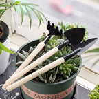 19Pcs Succulent Tools,Mini Garden Small Gardening Tools Indoor, Transplanting Gardening Tools,Pruning Shear Gardening Scissors,Hand Tool kit for Bonsai Indoors Small Plants (Blue)