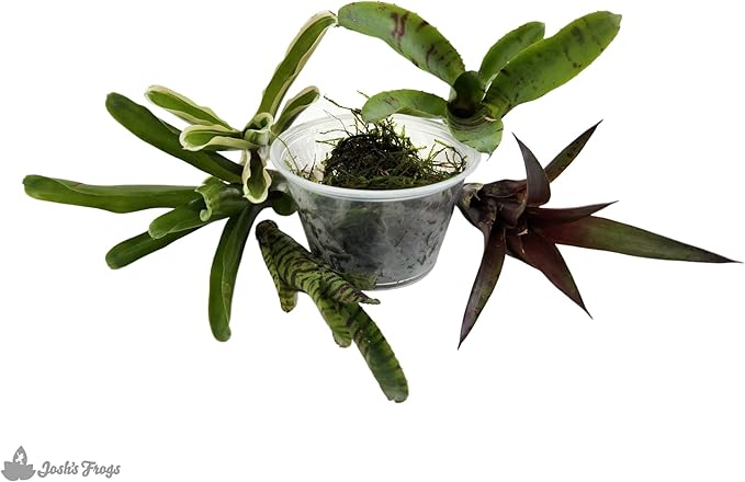 Josh's Frogs Dart Frog Vivarium Bioactive Plant Kits (40-55 Gallon)