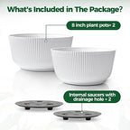 T4U 8 Inch Self Watering Pots for Indoor Plants, 2 Pack Plant Pots, Durable Plastic Self Watering Planter for Indoor Plants (2 Pack, 8", White)