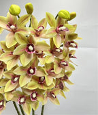 4pcs Artificial Cymbidium Orchid Flower Plant 3D Print Vanda 10 Heads Latex Phalaenopsis Flower (Green Yellow)