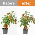100 Pcs Plant Clips Orchid Plant Clips for Climbing Plants, Plastic Plant Support Clips Green Flower Vine Clips Tomato Trellis Clips for Supporting Vegetables Stems Vines Climbing Plant Grow Upright
