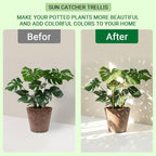 Small Trellis for Potted Plants Indoor with Crystal Sun Catcher, 4Pack Golden Metal Plant Stake for Home Window Garden, Plant Accessories Indoor Decoration (Mix)