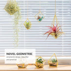 Homoyoyo 5 Pack Geometric Air Plant Holder - Gold Metal Himmeli Stand for Tillandsia, Minimalist Airplant Display Rack for Home Office Desktop, Modern Indoor Plant Decoration (2.6 x 2.6 inch)