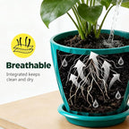 Plant Pots, Self Watering Planters with Drainage Holes and Trays, Flower Pots for Indoor Outdoor - 6 Pack(4/5/6/6.5/7/8 Inch) (Dark Green)