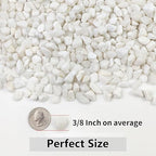 YISZM 10LB Succulent and Cactus Gravel Pebbles, 3/8 Inch Natural Decorative Polished Stones, River Rocks for Plants, Vases, Aquariums, Terrarium and Outdoor Gardening, White