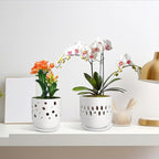 Set of 2 Orchid Pot, 5+6 Inch Orchid Pots with Holes, Orchid Pots for Repotting, Ceramic Flower Pots with Drainage and Tray, Planters for Indoor/Outdoor Plants - White