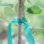 Garden Tie Tape 0.45" 290 Ft, Stretch Tie Tape Roll, Sturdy Plant Ribbon Garden Green PVC Plastic Stake Gardening Tools for Indoor Outdoor Patio Plant Use