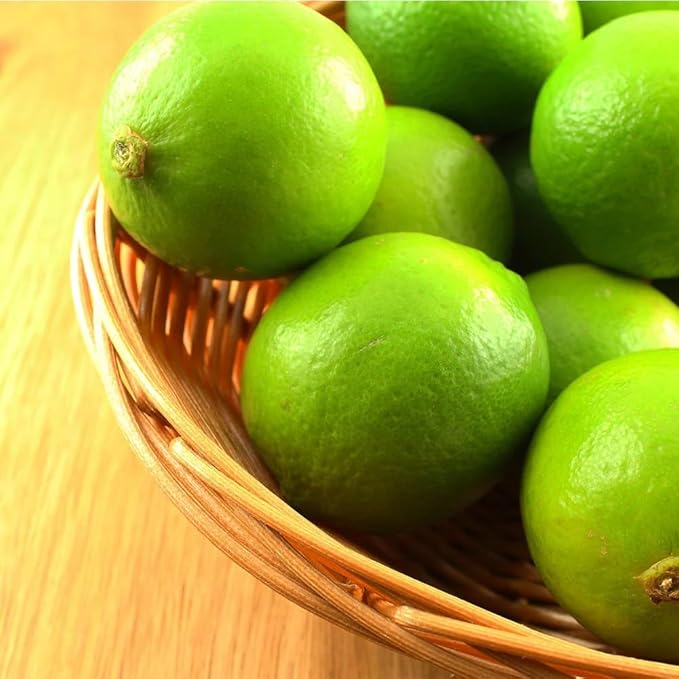 Brighter Blooms - Key Lime Bush, 2 Gallon - No Shipping to AK, AL, AZ, CA, FL, GA, HI, LA, MS, OR, TX