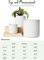 LE TAUCI Ceramic Pots for Plants, 10/8/6 Inch Indoor Planters with Draiange Hole, Silicone Plug & Mesh Pad, Modern Rasied-Dots Pots for Home Office, Set of 3, Glossy, Arctic White