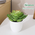 Lifelike Artificial Succulent Plants in White Large Basin - 5.5 Inch Diameter Large Flowers, Green & White, Ideal for Home and Office Table Decoration