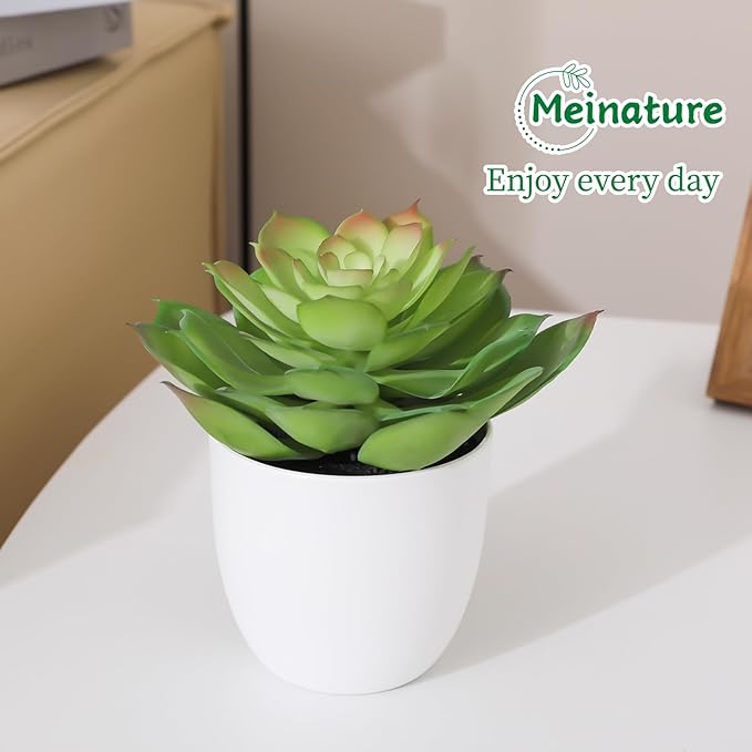 Lifelike Artificial Succulent Plants in White Large Basin - 5.5 Inch Diameter Large Flowers, Green & White, Ideal for Home and Office Table Decoration