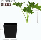 MyShelfie - Mini Philodendron Selloum Hope Starter Live Plant in 2-Inch Pot – Tropical Indoor Houseplant, Low Maintenance, Easy Care, Perfect for Home or Office Décor (3)