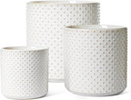 LE TAUCI Ceramic Pots for Plants, 10/8/6 Inch Indoor Planters with Draiange Hole, Silicone Plug & Mesh Pad, Modern Rasied-Dots Pots for Home Office, Set of 3, Glossy, Arctic White