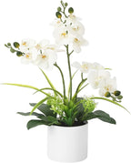 Garvee Real Touch Silk Phalaenopsis Orchid Artificial Flowers - 3 Stems Faux Orchid Bough with Vase, Lifelike Large Fake Flowers in Pot for Home Decor Living Room Bedroom Office Tabletop