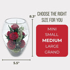 Fiora Flower | Long Lasting Real Roses in a Sealed Vase | Lasts up to 5 Years | Unique Present Gift