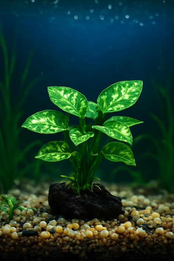 JGbaby Artificial Aquarium Plants,Fish Tank Decorations Betta Leaf Hammock 4in Realistic Silk & Plastic Plants, Hideout Decor for Betta. Goldfish,Reptiles,Small Tanks (Green Type-D)